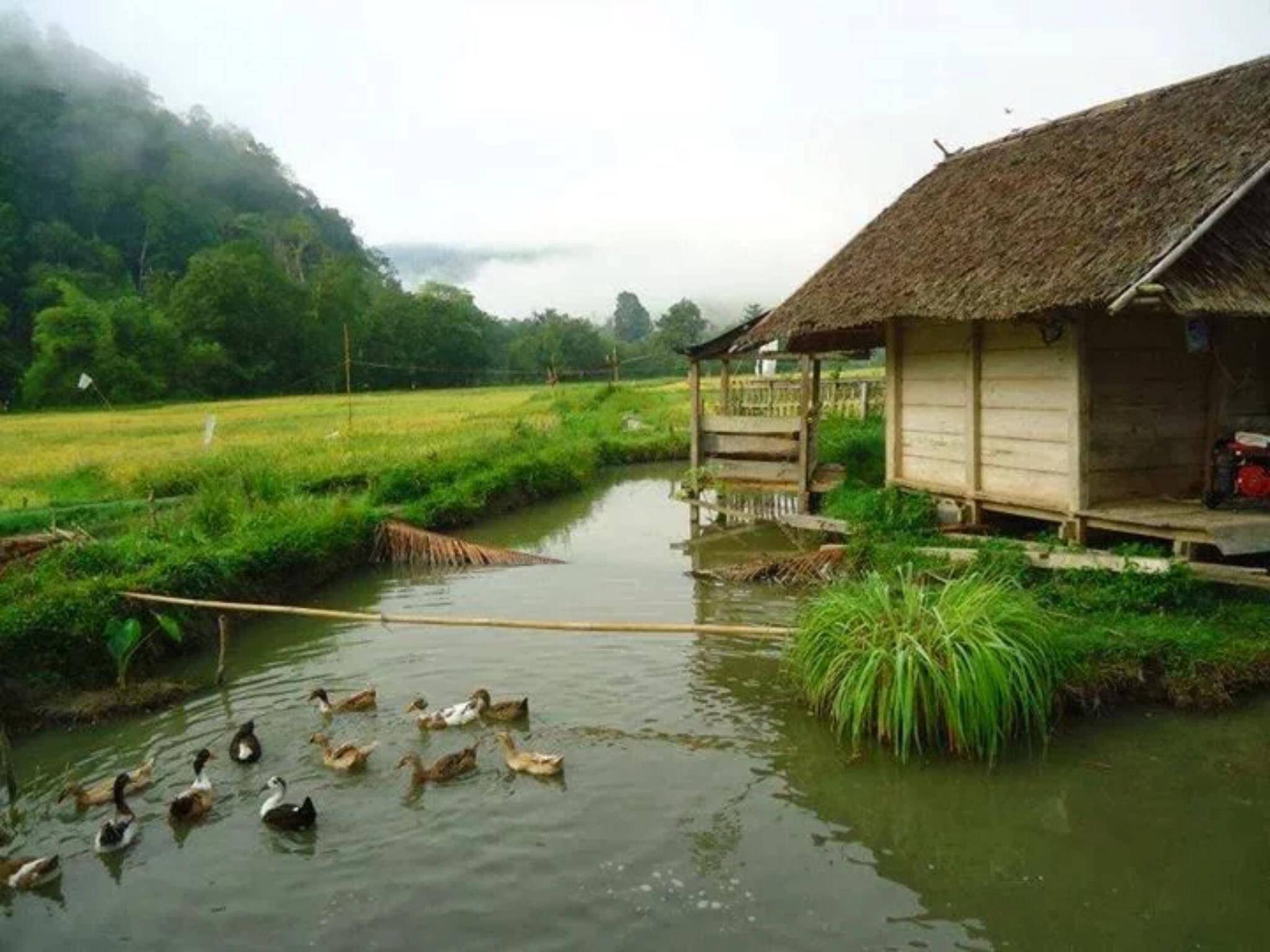 ภูซอมพอ ฟาร์ม (phu sompor : happy & simple living farm)